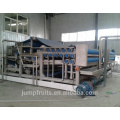 NFC citrus juice fruit production processing line